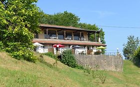 Les Hyacinthes
